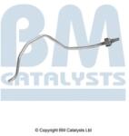 Bm Catalysts Conducta de presiune, senzor de presiune (filtru particule) BM CATALYSTS PP11165A (PP11165A)