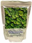  Semințe gazon Dicondra Repens 500 g (SM1211)