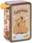 DERFORM Penar cu accesorii Derform Capybara 10 - 3 fermoare (712524) Penar