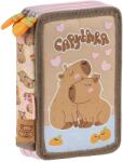 DERFORM Penar cu accesorii Derform Capybara 10 - 2 fermoare (712432) Penar