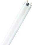OSRAM Lampă fluorescentă Ledvance (Osram) L 30 W/840, 2400 lm, 4000 K, G13 (4050300336947)
