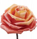  Narancssárga habrózsa művirág rózsa habszivacs dekoráció XXL 53cm (KWZ2291-MIX2/ORANGE)