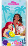 Disney Hercegnők fürdőlepedő, strandtörölköző 70x140 cm (Fast Dry) Nr 04