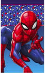 Marvel Pókember kéztörlő, arctörlő, törölköző 30x50 cm Nr 07