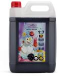  Tonino Blue Raspberry Crushed Ice 5 l