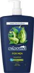 Schauma For Men 1 l