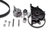 HEPU Set curea de distributie HEPU 20-2135 (20-2135) - automobilus