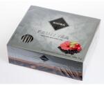 Rioba Ceai de fructe 100 x 2 g