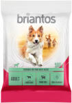 Briantos 100g Briantos Adult bárány & rizs száraz kutyatáp
