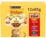 Friskies tasakok macskáknak csirkével, marhával, báránynal, kacsával lében 12 x 85 g