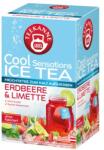TEEKANNE Cool Sensations Tea eper+lime 45 g
