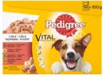 PEDIGREE felnőtt keverék kutyáknak 12 x 100 g