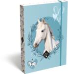 Lizzy Card Füzetbox A/5 LIZZYSULI Wild Beauty Sport Club