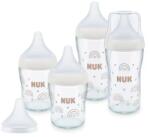 Nuk Set de biberoane din sticlă Perfect Match 2 x 120 ml + 2 x 230 ml + tetină suplimentară pentru hrănire Flow Control, 1 buc. Curcubeu
