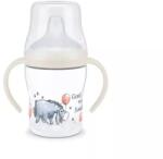 Nuk Biberon pentru suc Perfect Match 150 ml, 6+ luni, Disney, Yori