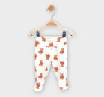 Rainy Premium Set pentru bebeluși 3 piese Bears 56-74 cm