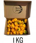  Friss paprika BoxeOnna Habanero Sárga 1 Kg Gyümölcsös Élesség! (Habanero1)