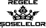  Sticker decorativ auto Regele Soselelor Negru 20 x 13 cm (5902211920183-3701)