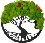 Amco Tablou Copacul Vietii cu Licheni Naturali Stabilizati - Decor Natural, 30 cm (PM399)