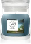Yankee Candle Bayside Cedar lumânare parfumată Signature 110 g