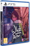 Dolores Entertainment What Comes After (PS5)