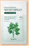 Skinfood Arcmaszk pantoténsavval és petrezselyem-kivonattal Pantothenic Water Parsley Mask - 24 ml / 1 db