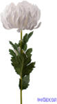  Krizantém szálas selyemvirág 67 cm D11cm - Fehér