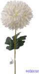  Krizantém szálas selyemvirág 49 cm D12cm - Krém