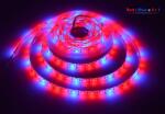LEDMEGROW Bandă LED pentru cultivare R3: B1 12W/m