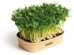 Microgreens Acasă microgreens kit de creștere mazăre Affyla