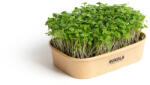 Pěstebna Farma Acasă Microgreens Kit de cultivare Rucola