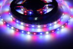 T-LED Bandă LED 12AKVA 6012-WBR pentru acvariu