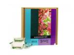 Atami B'cuzz Blossom Builder Tabzz Volum: 1 buc