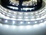 T-LED Bandă LED 12W/m, CRI ridicat, alb rece 6500K