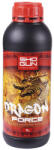 Shogun Dragon Force Volum: 1 l