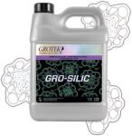 Grotek Gro-Silic 1 l