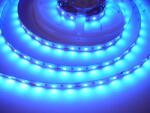 T-LED Bandă LED albastră 12W/m