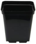Growmarket Ghiveci din plastic 11x11x12 cm - 1 l