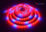 LEDMEGROW Bandă LED pentru cultivare R5: B1 12W/m