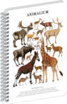 Realsystem Animalium, spirálos, üres notesz - Artiodactyls, A4