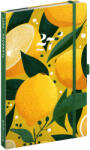 Realsystem Lemons, Agenda és notesz 2027, 13x21 cm