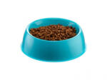 ZOOBEEDOO etetőtál türkiz kék 21.5 cm - dogshop