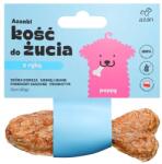 AZANKI Cod Bone with Probiotic Puppy in Fish Shape - Dog Treat - 12 cm
