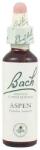 Vedra Esență florală Bach Flower Remedies Aspen N°2, 20 ml, Vedra