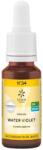 Lemon Pharma Esență florală Water Violet N°34, 20 ml, Lemon Pharma