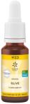 Lemon Pharma Esență colorată Olive N°23, 20 ml, Lemon Pharma