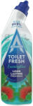 Astonish WC frissítő gél eukaliptusz illattal 750 ml