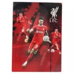 Nebulo Liverpool: Mapă cu elastic, A4 - diverse modele (LP GM A4)
