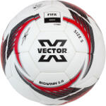 Vector X Futball labda VECTOR X BIGWINN méret: 5 FIFA BASIC (207300030) - s1sport