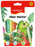 Keyroad Rostirón, filctoll készlet 2 mm 24 db/bliszter Keyroad vegyes színek (KR973168) - nyomtass-olcson